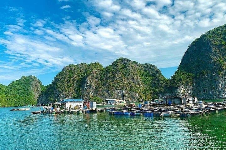 Private Halong & Lan Ha Bay Speedboat Adventure — Kayak Dark & Bright Caves and Tra Bau Village photo 1