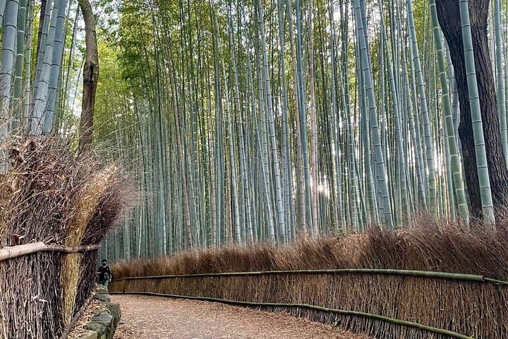 Arashiyama Day Tour: Temples, Bamboo Grove & Private Katsura River Cruise with Maiko photo 4