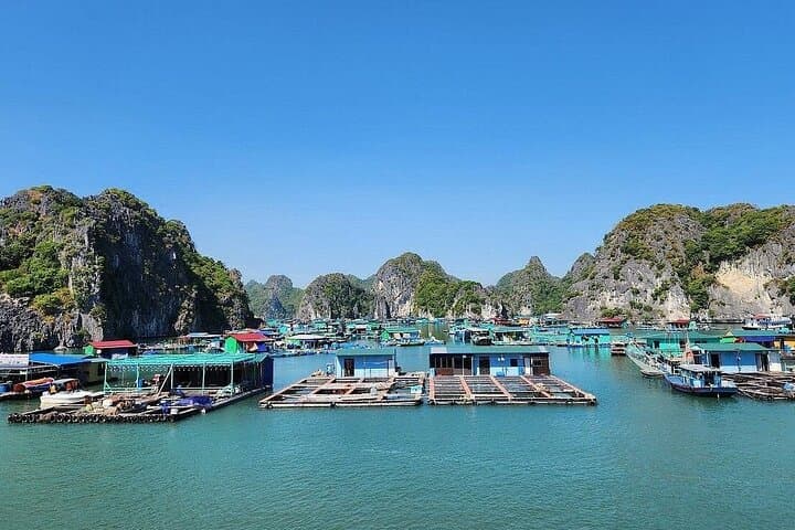 Private Speedboat to Halong & Lan Ha Bay: Kayak Bright & Dark Caves and Ba Trai Dao photo 5