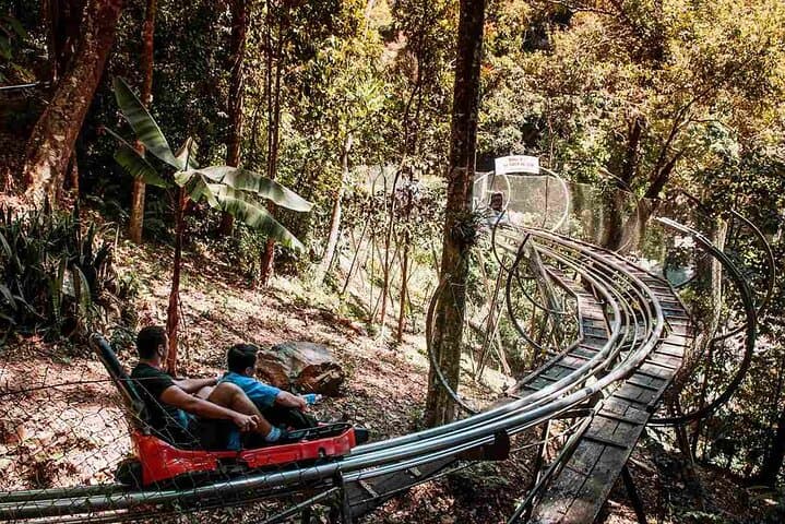 Da Lat Day Tour Guide — Waterfalls, Crazy House & Mongo Land photo 4