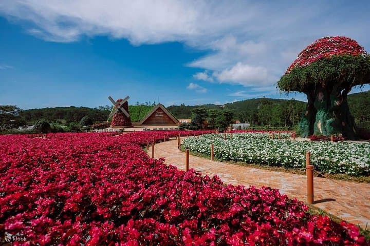 Da Lat Day Tour Guide — Waterfalls, Crazy House & Mongo Land photo 6