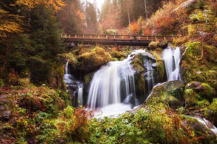 Black Forest Day Tour from Zurich: Triberg Waterfalls, Titisee & Feldberg photo 3