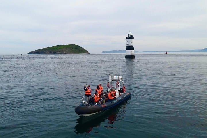 Conwy Puffin Island Wildlife Adventure — Speedboat Tour to Seabirds, Seals & Dolphins