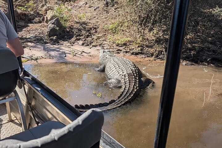 Chobe River Afternoon Boat Safari: Half-Day Wildlife Cruise from Kasane photo 3