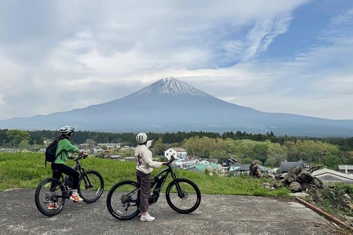 Explore Mt. Fuji's Quiet Side: Full-Day E-Bike Nature Tour from Fujinomiya photo 3