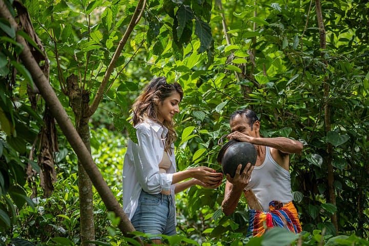 Ella Village Jeep Trek: Paddy Fields, Pepper Harvest & Home Cooking in Sri Lanka photo 1