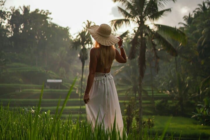 Ubud Half-Day Private Tour: Monkey Forest, Rice Terraces & Sacred Springs