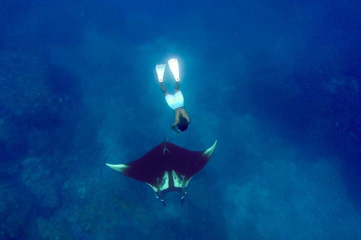 Private Caño Island Snorkel and Discovery Tour from Osa Peninsula photo 2