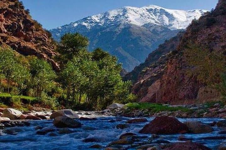 Private Day Tour: Ourika Valley & Atlas Mountains from Marrakech photo 2