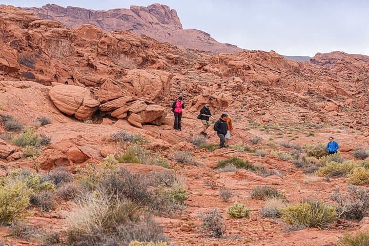 Valley of Fire Half-Day Tour from Las Vegas — Fire Wave, Petroglyphs & Desert Vistas photo 5