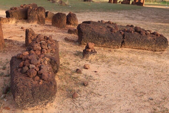 6-Day Niokolo-Koba & Dindefelo Waterfalls Safari and Cultural Immersion photo 3