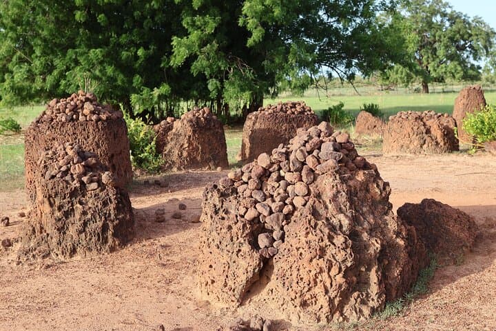6-Day Niokolo-Koba & Dindefelo Waterfalls Safari and Cultural Immersion photo 4