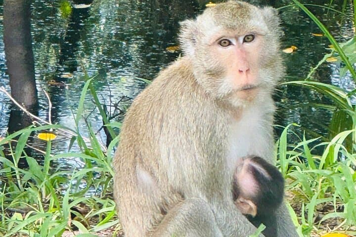 U Minh Thuong & Pineapple Village Tour — 2-Day Rach Gia Nature Escape