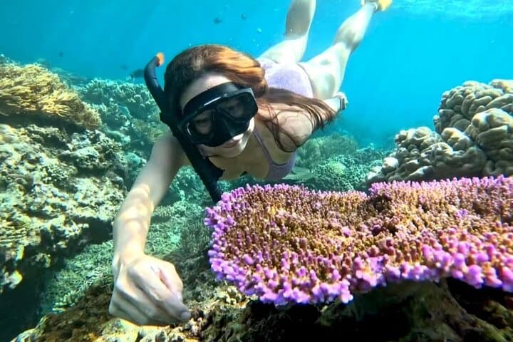 Blue Lagoon Snorkel with Lunch: Calm Bays, Coral Gardens & Turtles photo 1