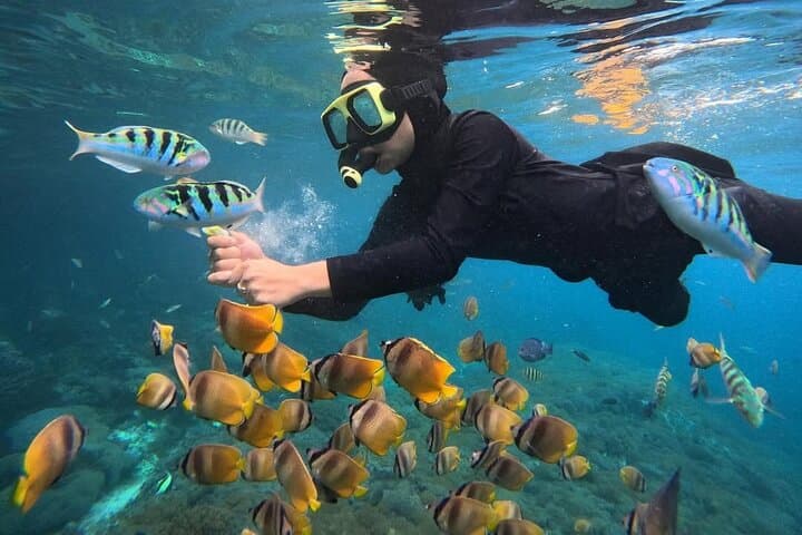 Blue Lagoon Snorkel with Lunch: Calm Bays, Coral Gardens & Turtles photo 2