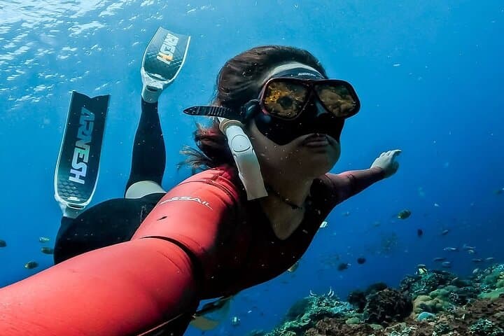 Blue Lagoon Snorkel with Lunch: Calm Bays, Coral Gardens & Turtles photo 4