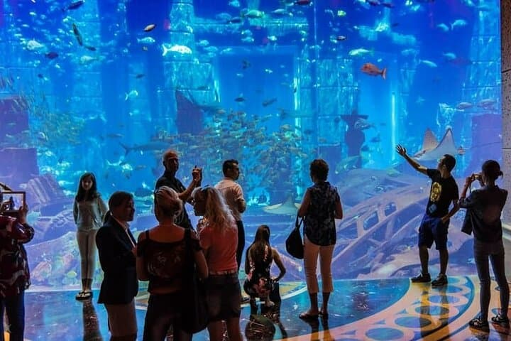 Atlantis Aquaventure & Lost Chambers Combo: Dubai Waterpark and Aquarium Day Pass photo 4