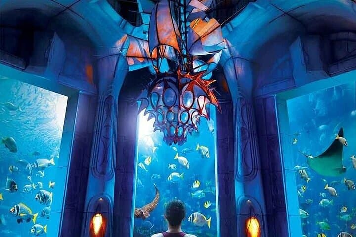 Atlantis Aquaventure & Lost Chambers Combo: Dubai Waterpark and Aquarium Day Pass photo 5