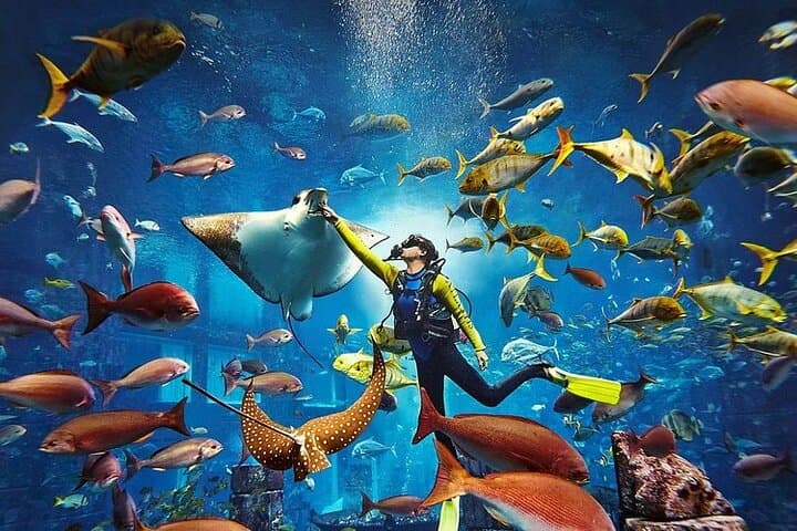 Atlantis Aquaventure Waterpark and Lost Chambers Aquarium — Dubai Day Pass Guide photo 4