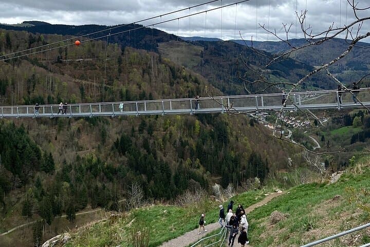 Black Forest Family Adventure Day — Hasenhorn Coaster, Belchen & Ravenna Gorge photo 4
