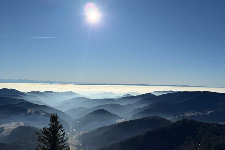 Black Forest Family Adventure Day — Hasenhorn Coaster, Belchen & Ravenna Gorge photo 3
