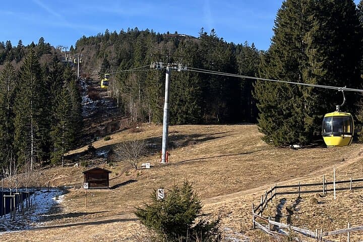 Black Forest Family Adventure Day — Hasenhorn Coaster, Belchen & Ravenna Gorge photo 6