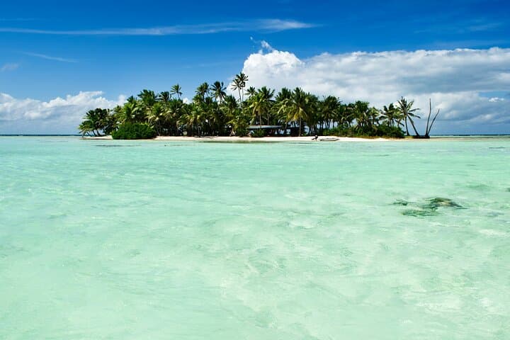 Punta Cana Whale Watching & El Limón Waterfall Adventure — Full-Day Catamaran Cruise and Waterfall Swim photo 6