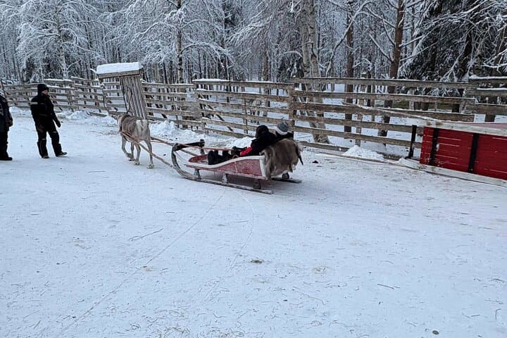 Reindeer Sleigh Ride & Husky Farm Visit in Rovaniemi — Lapland Winter Experience photo 3