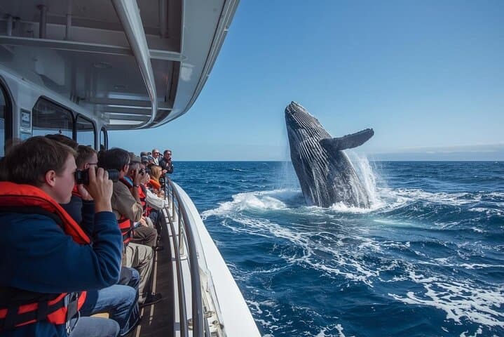 Hermanus Private Whale Watching and Benguela Cove Wine Tasting photo 2