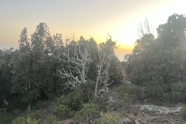 Soudah Mountain Trail 2: Hike Above the Clouds in Asir photo 5
