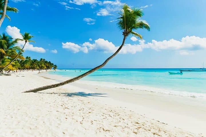 Saona Island Catamaran Tour from Punta Cana — Natural Pool, Beach Buffet & Snorkel photo 4