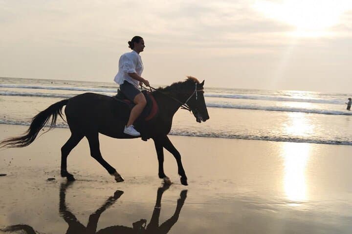 Sunset Horseback Riding in Seminyak Bali: Beach Ride with Free Pickup photo 3