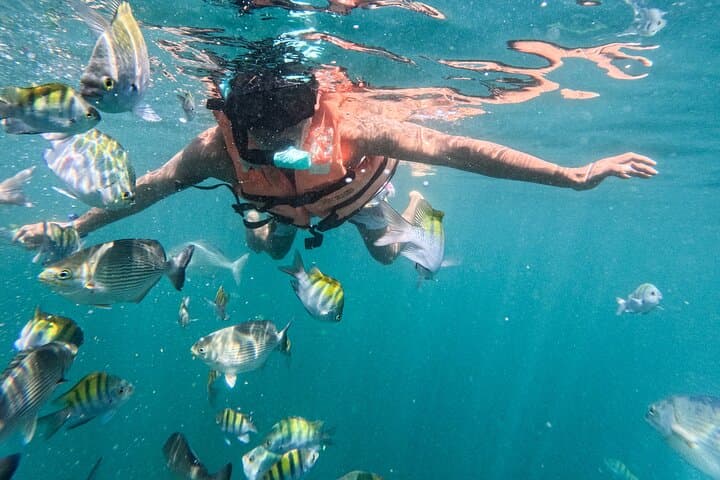 Snorkel Majahuitas: Hidden Beaches & Marine Life from Puerto Vallarta photo 2