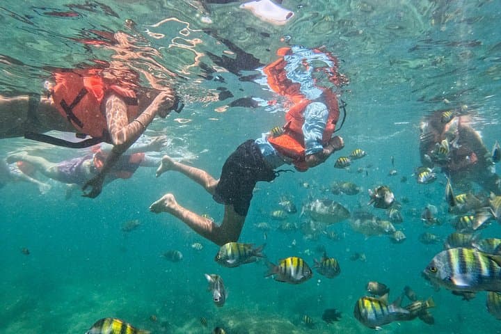Snorkel Majahuitas: Hidden Beaches & Marine Life from Puerto Vallarta photo 4