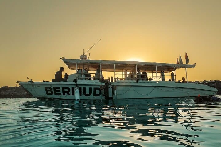 Try a Boat Scuba Dive at The Island — Beginner-Friendly Dubai Day Trip photo 4