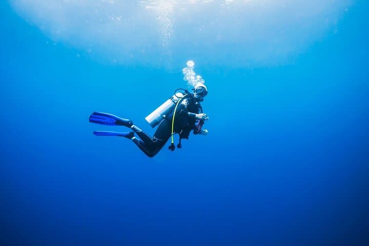 Try a Boat Scuba Dive at The Island — Beginner-Friendly Dubai Day Trip photo 2