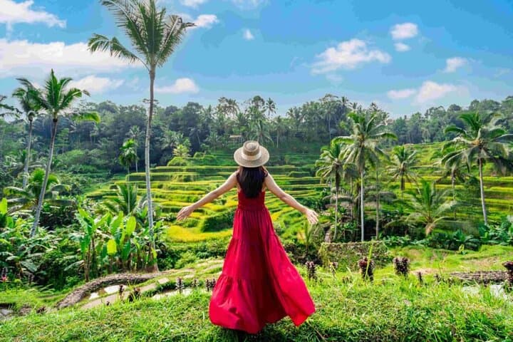 One-Day Ubud: Waterfall Swim, Rice Terraces, Temple Purification & Jungle Swing