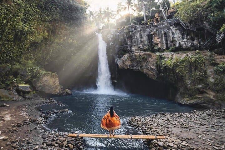 One-Day Ubud: Waterfall Swim, Rice Terraces, Temple Purification & Jungle Swing photo 4