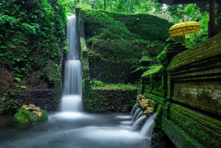 One-Day Ubud: Waterfall Swim, Rice Terraces, Temple Purification & Jungle Swing photo 5