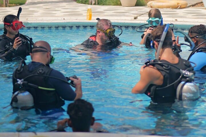 PADI Open Water Diving Course in Dubai — 4-Day Certification with Boat & Shore Dives photo 4