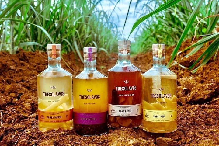 VIP Rum Tasting & Distillery Tour at San Juan Artisan Distillers, Vega Alta photo 3