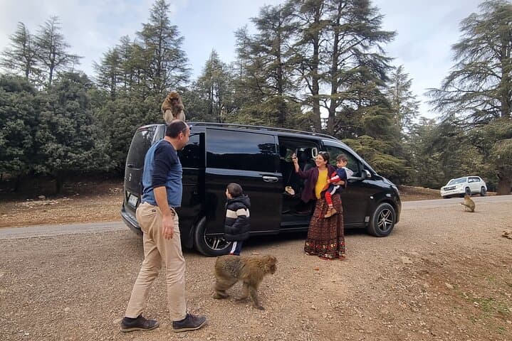 Middle Atlas Mountains Private Day Trip from Fez: Ifrane, Azrou & Immouzer photo 2