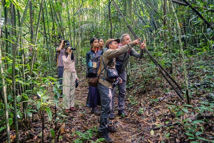 Dawn Gibbon Tracking in Keo Seima: A Day with Bunong Guides photo 3
