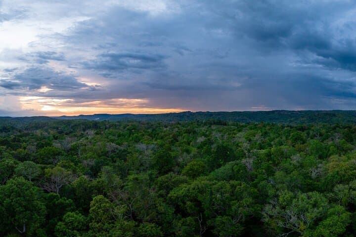 Dawn Gibbon Tracking in Keo Seima: A Day with Bunong Guides photo 5