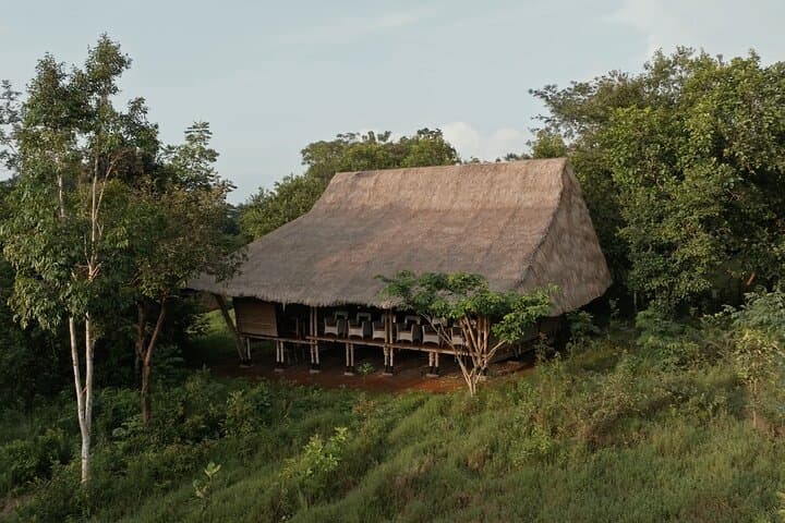 Dawn Gibbon Tracking in Keo Seima: A Day with Bunong Guides photo 4