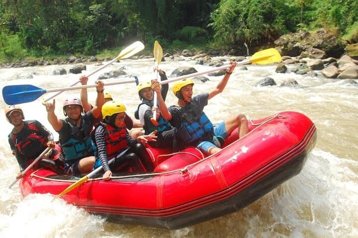 Ubud Zipline Over Rice Terraces and Cretya Pool Bar Experience photo 4