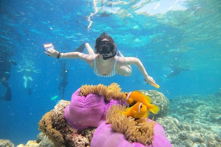 Full-Day Malé Snorkeling Trip: Biyadhoo Reef, Turtle Reef & Dolphin Cruise
