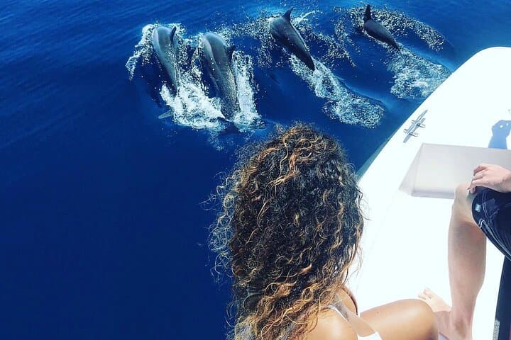 Full-Day Malé Snorkeling Trip: Biyadhoo Reef, Turtle Reef & Dolphin Cruise photo 3