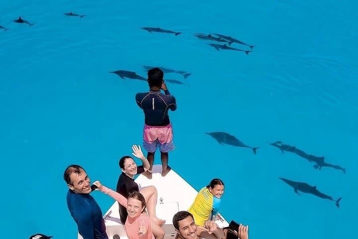 Full-Day Malé Snorkeling Trip: Biyadhoo Reef, Turtle Reef & Dolphin Cruise photo 4