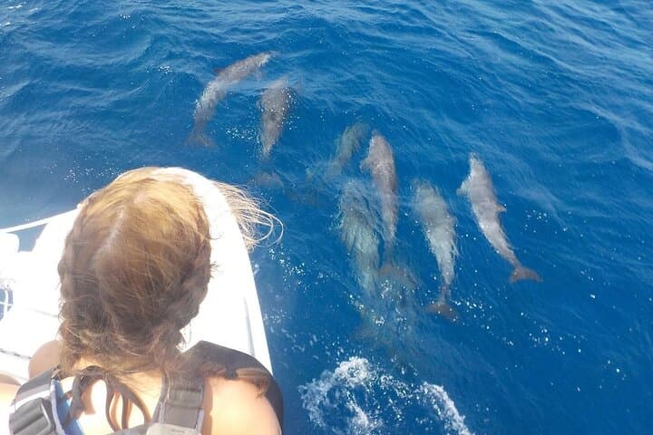 Full-Day Malé Snorkeling Trip: Biyadhoo Reef, Turtle Reef & Dolphin Cruise photo 5